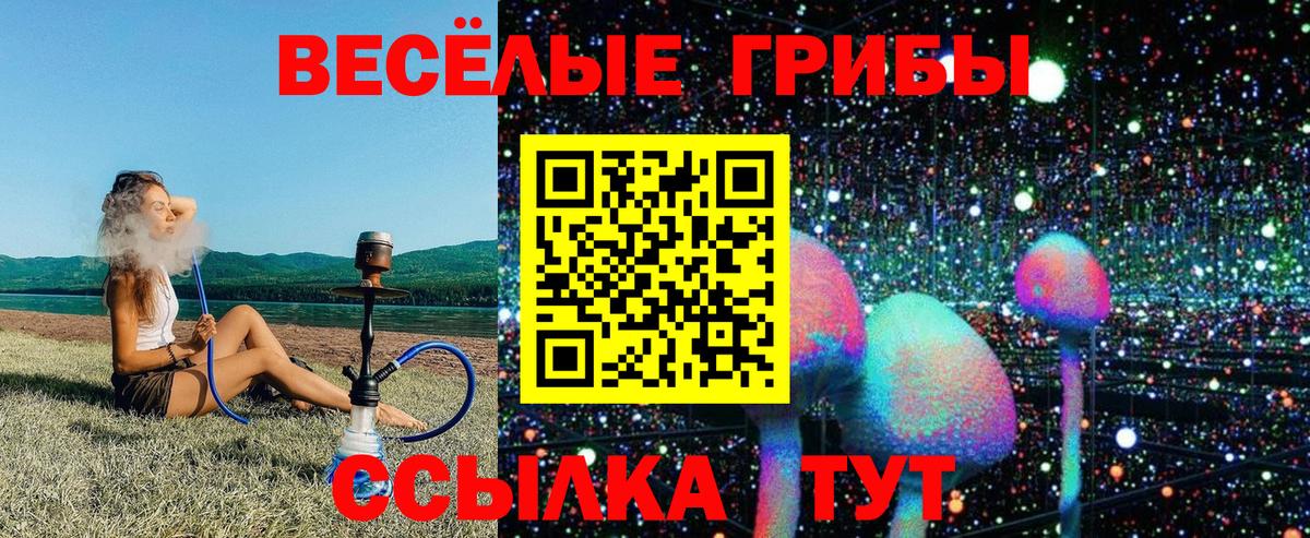 Галлюциногенные грибы ЛСД Сосновый Бор