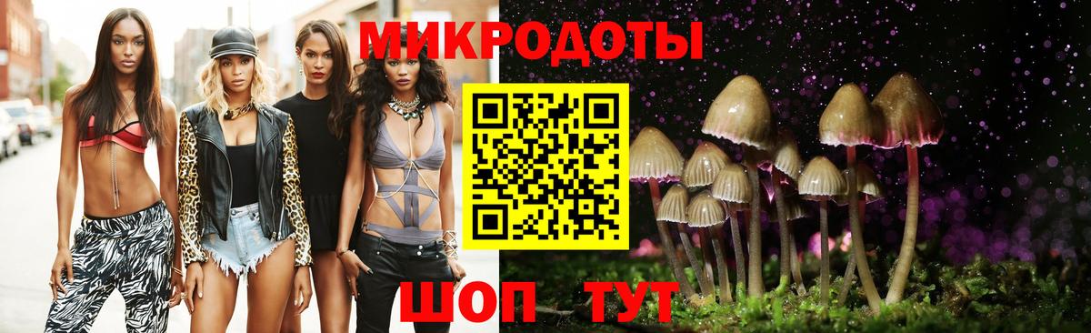 Сосновый Бор  Псилоцибиновые грибы Cubensis  Галлюциногенные грибы прущие грибы  Вход с VPN 